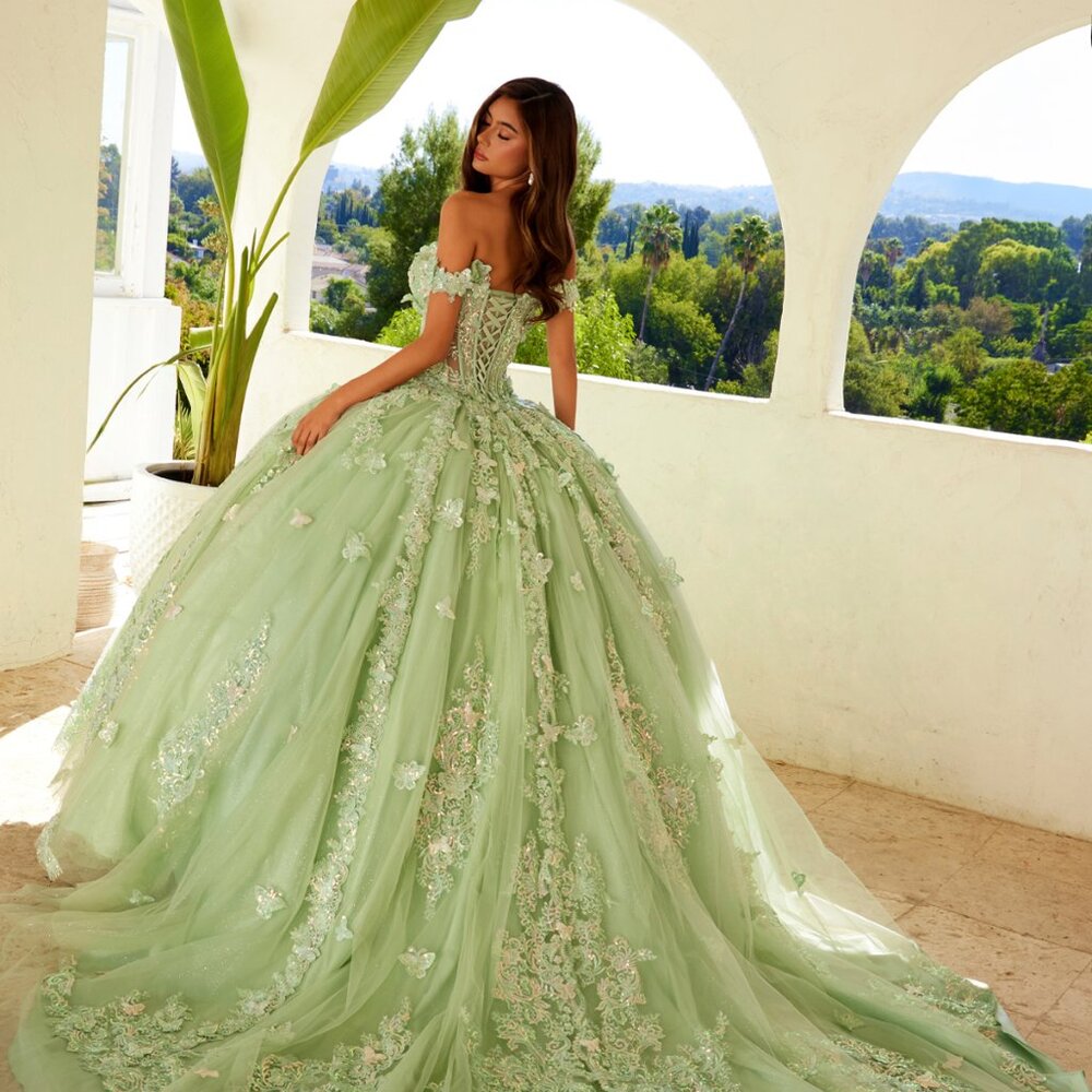 New Ceremonial Long Quinceanera Gown w/ Floral Applique & Long Train JT1485J - Picture 7 of 9